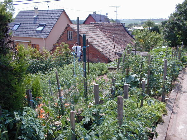 click image to load singular slide #389