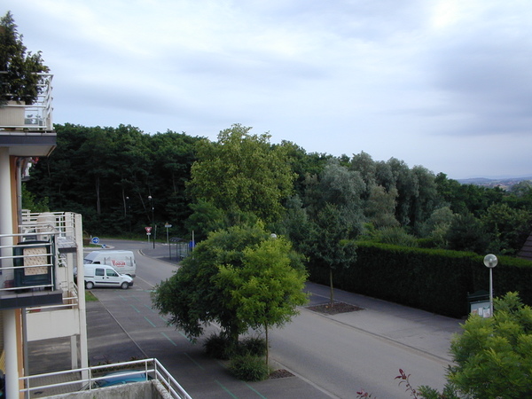 click image to load singular slide #407