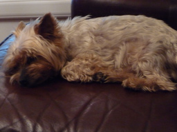 P1020396.JPG 3456x2592 index 6