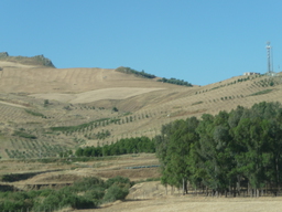 P1020402.JPG 3456x2592 index 10