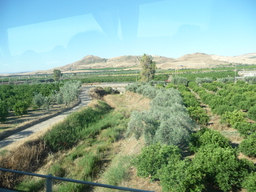 P1020415.JPG 3456x2592 index 17