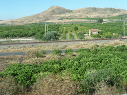 P1020417.JPG 3456x2592 index 19