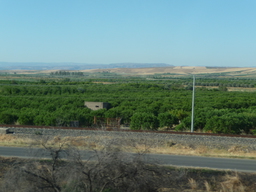 P1020418.JPG 3456x2592 index 20