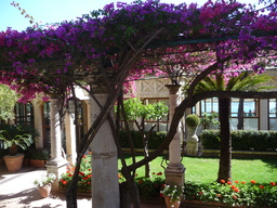 P1020475.JPG 3456x2592 index 48