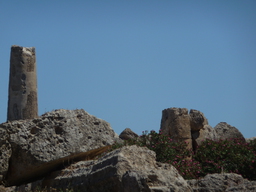 P1020519.JPG 3456x2592 index 77