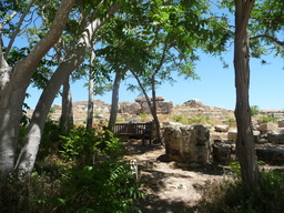 P1020535.JPG 3456x2592 index 85