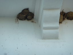 P1020550.JPG 3456x2592 index 95